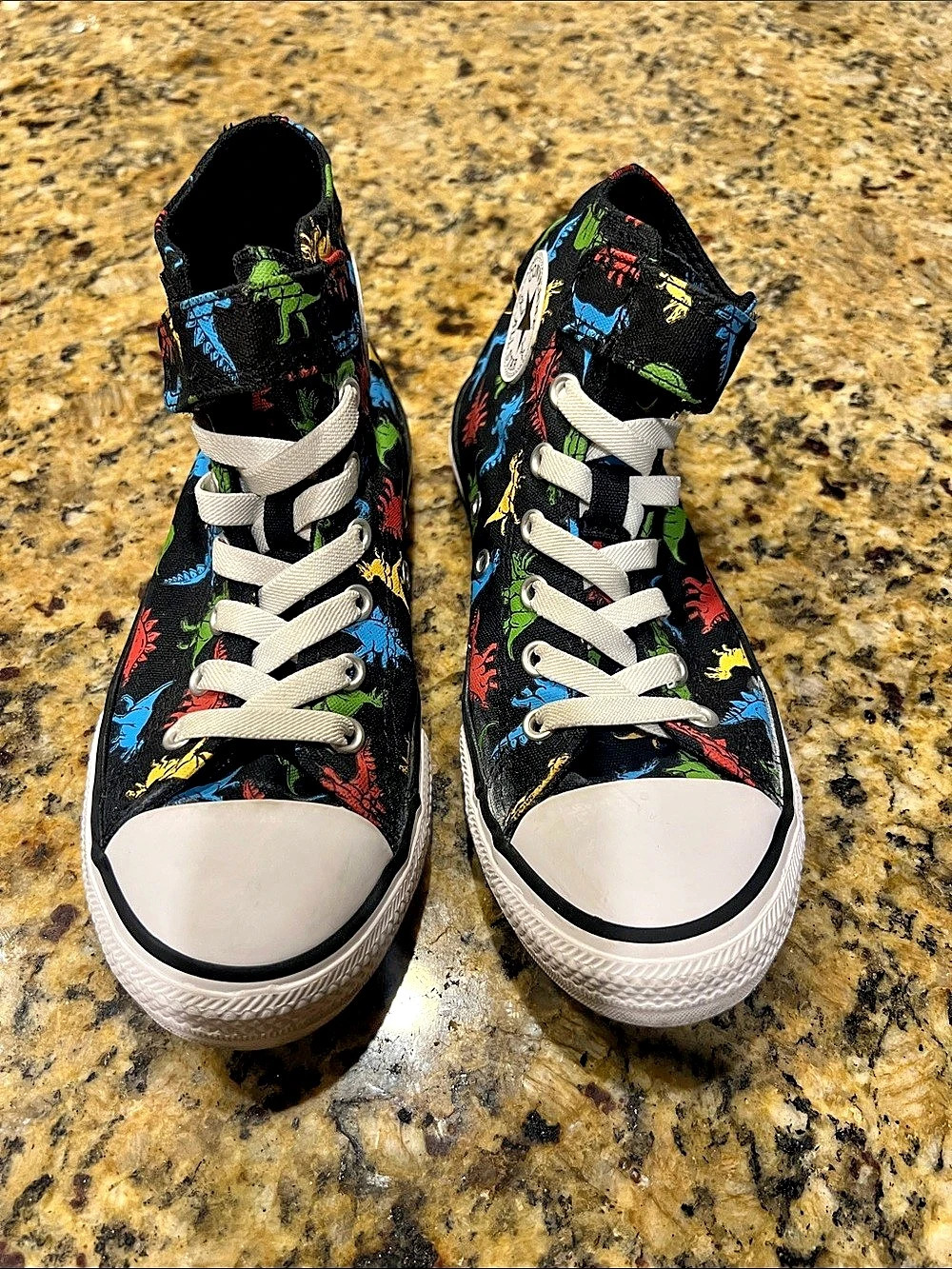 Converse Chuck Taylor All Star Dinoverse High Top Sneakers Black & White unisex
